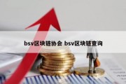 bsv区块链协会 bsv区块链查询