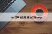 bnc区块链公链 区块公链only