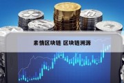 素情区块链 区块链溯源