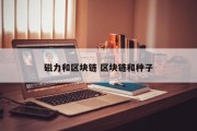 磁力和区块链 区块链和种子